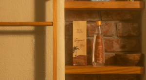 Why Organic Coconut Oil Known as Liquid Gold for Health, Skin, and Soul